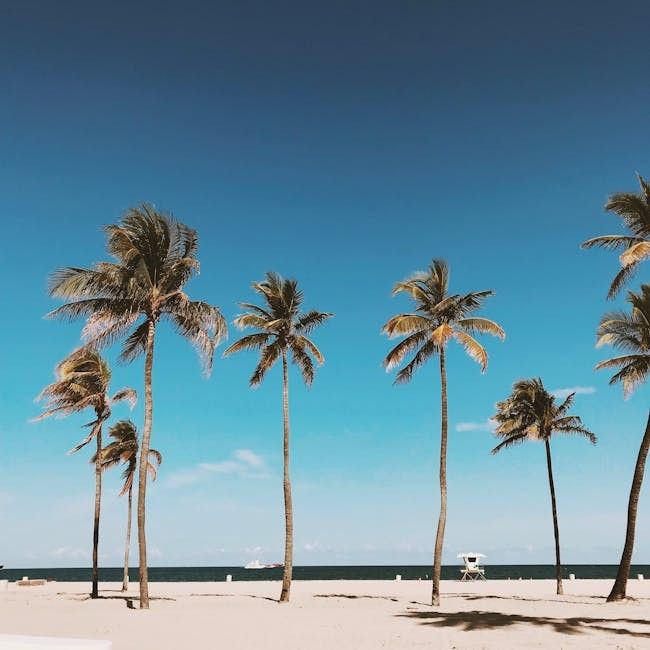 Goed voorbereid op zomervakantie? Check je reisverzekering