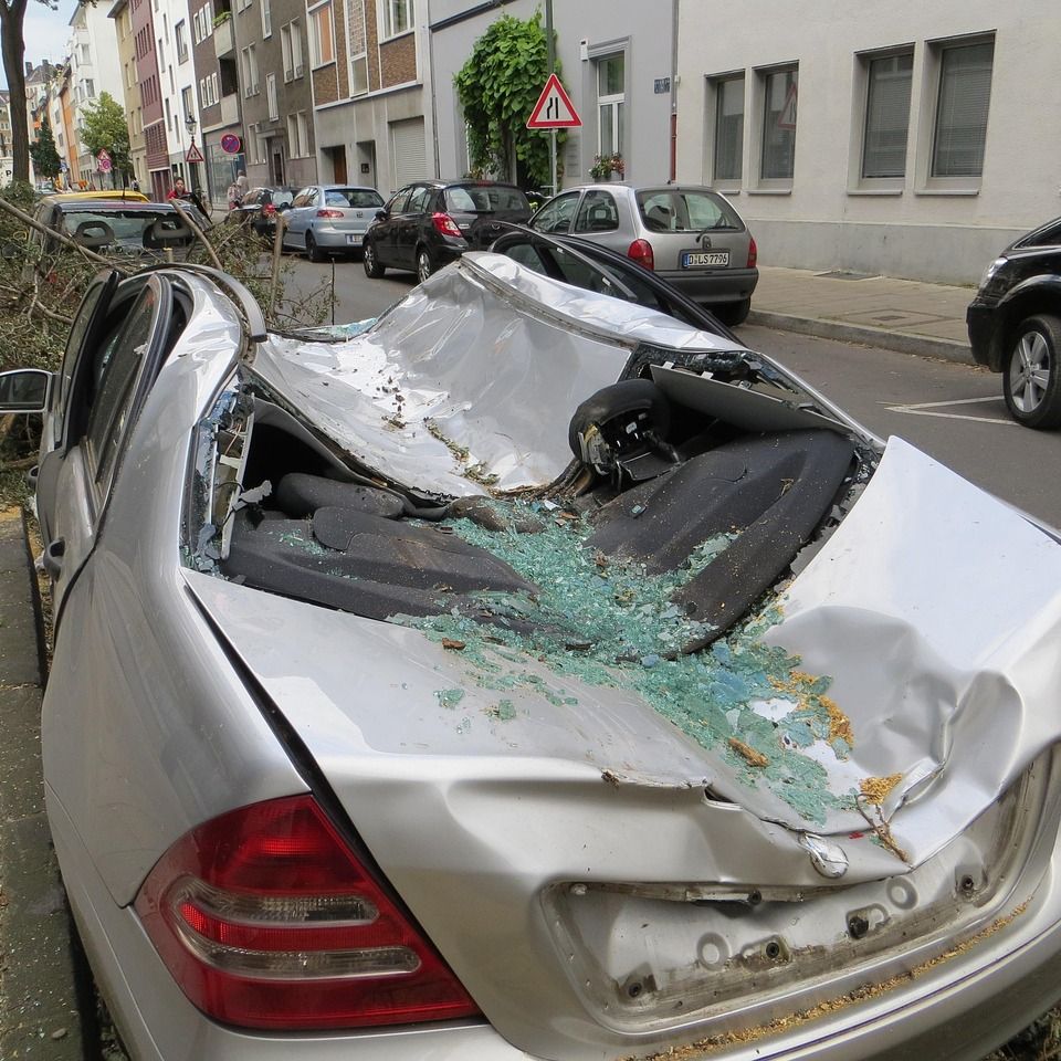 Is de eigenaar van een omgevallen boom aansprakelijk voor schade?