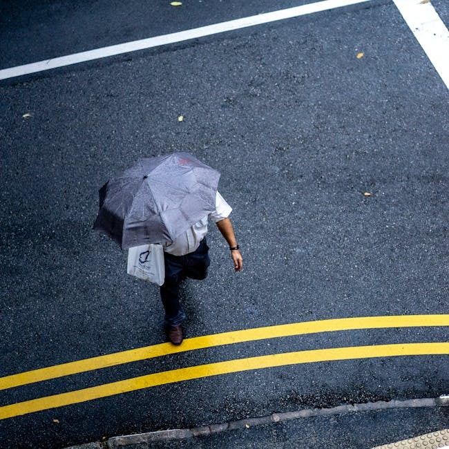 Header afbeelding voor Van wit tot paars: dit moet jij écht weten over onze wegmarkeringen.