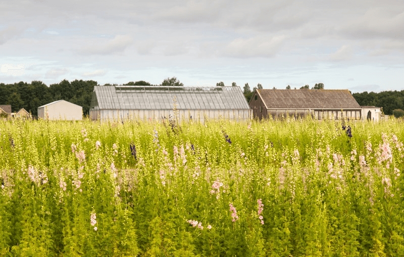 Bestemmingswijziging levert belastbare winst op